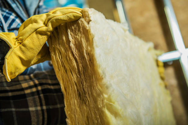 Best DIY Insulation Kits and Guidance in Faison, NC
