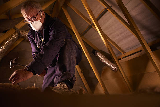Types of Insulation We Offer in Faison, NC