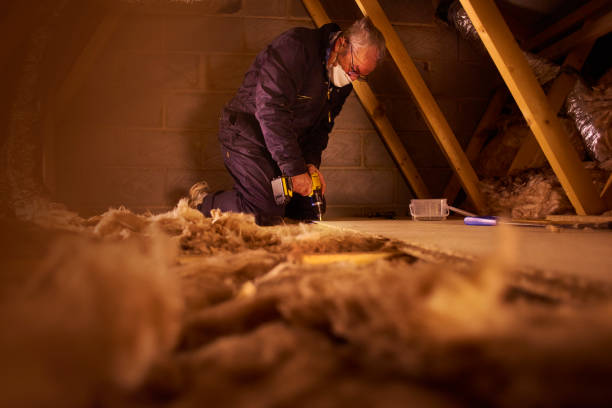 Best Specialized Insulation Services in Faison, NC